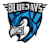Team BLUEJAYS logo