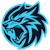 Player Team NomadS Logo